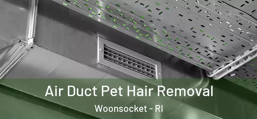 Air Duct Pet Hair Removal Woonsocket - RI