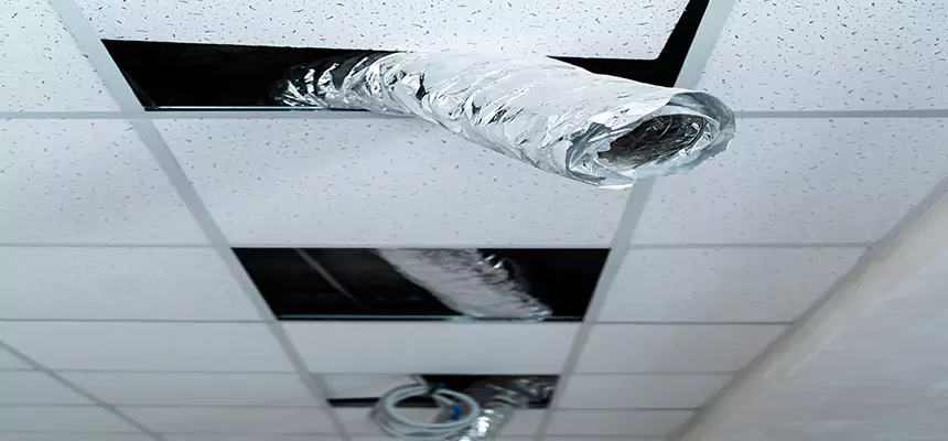 Our Air Duct Pet Hair Removal Services in Woonsocket, RI