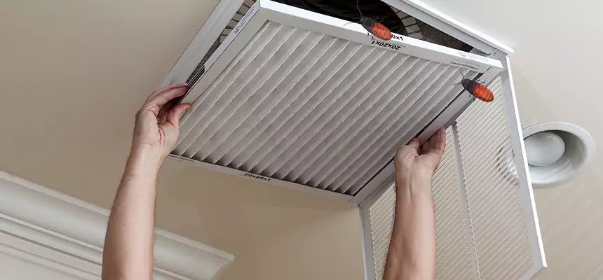 Our Insect Removal from Air Ducts Services in Woonsocket, RI
