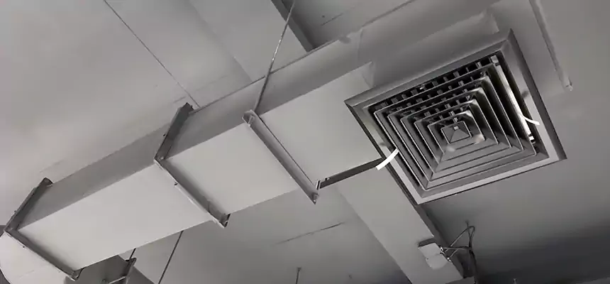 Our Pest Removal From Ducts Services in Woonsocket, RI