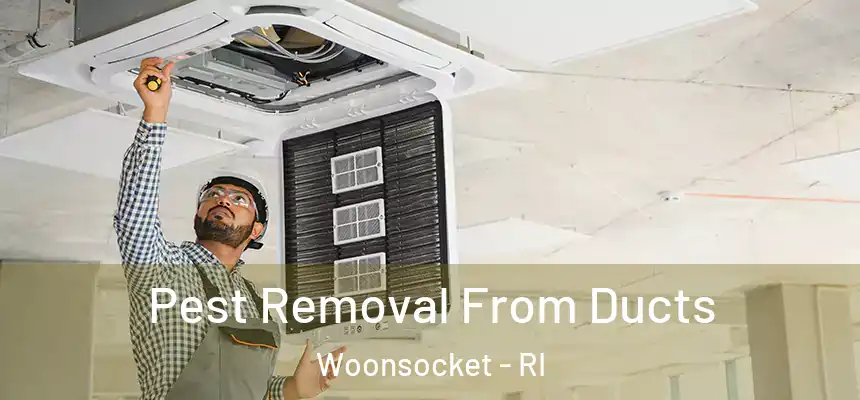  Pest Removal From Ducts Woonsocket - RI
