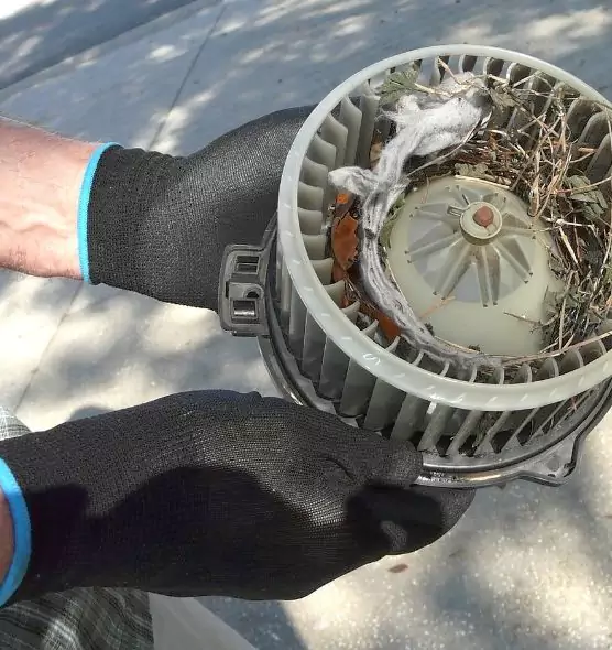 About Air Duct Mice Removal in Woonsocket, RI