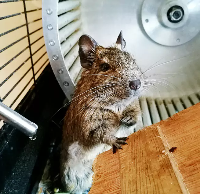 Why Homeowners & Businesses Trust Us Woonsocket, RI?